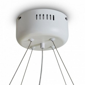 Подвесной светильник Freya Rain FR5546PL-L60W в Троицке - troick.ok-mebel.com | фото 9