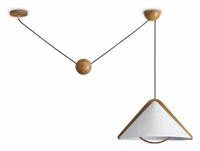 Подвесной светильник Freya Umbra FR5554CL-01T в Троицке - troick.ok-mebel.com | фото