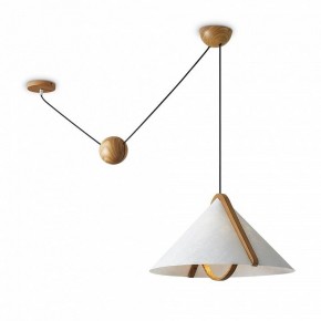 Подвесной светильник Freya Umbra FR5554CL-01T в Троицке - troick.ok-mebel.com | фото 2
