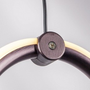 Подвесной светильник Lightstar Caramello 796289 в Троицке - troick.ok-mebel.com | фото 10