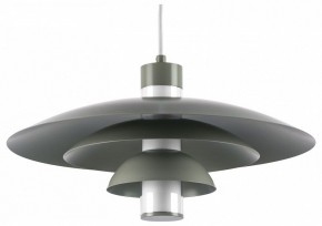 Подвесной светильник Lightstar Erbareo 799019 в Троицке - troick.ok-mebel.com | фото