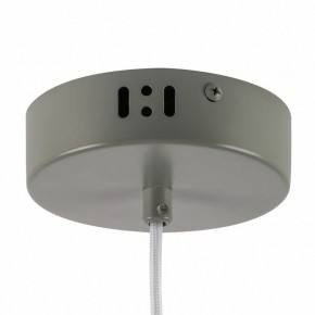 Подвесной светильник Lightstar Erbareo 799019 в Троицке - troick.ok-mebel.com | фото 5