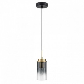 Подвесной светильник Lumion Isha 8101/1A в Троицке - troick.ok-mebel.com | фото 3