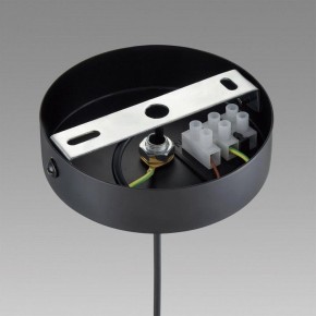 Подвесной светильник Lumion Isha 8101/1A в Троицке - troick.ok-mebel.com | фото 6