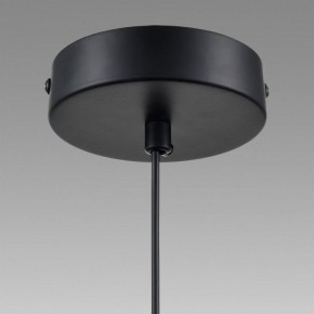 Подвесной светильник Lumion Isha 8101/1A в Троицке - troick.ok-mebel.com | фото 9
