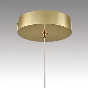 Подвесной светильник Lumion TRINO 8080/1A в Троицке - troick.ok-mebel.com | фото 9