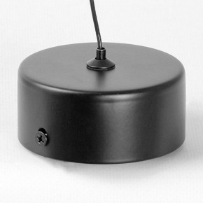 Подвесной светильник Lussole Blount LSP-7356 в Троицке - troick.ok-mebel.com | фото 6