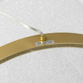 Подвесной светильник Lussole Bradford LSP-7159 в Троицке - troick.ok-mebel.com | фото 4
