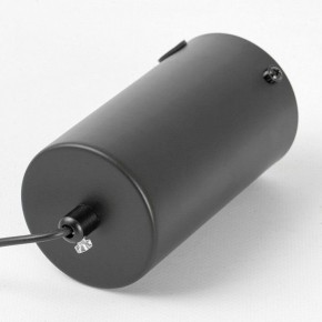 Подвесной светильник Lussole Calhoun LSP-7139 в Троицке - troick.ok-mebel.com | фото 5