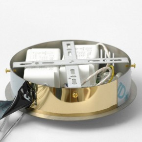Подвесной светильник Lussole Citrus LSP-7158 в Троицке - troick.ok-mebel.com | фото 6