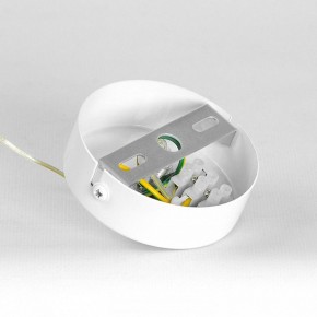 Подвесной светильник Lussole Gregg LSP-8964 в Троицке - troick.ok-mebel.com | фото 7