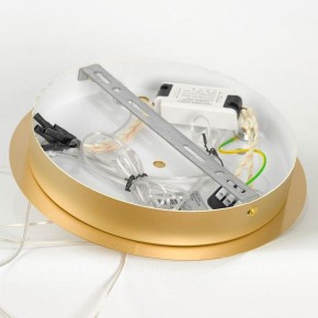 Подвесной светильник Lussole Hopkins LSP-7400 в Троицке - troick.ok-mebel.com | фото 5
