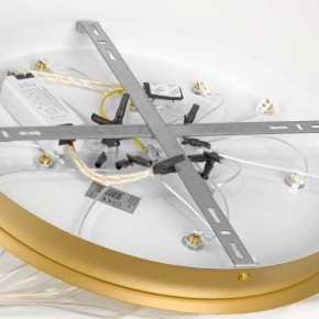 Подвесной светильник Lussole Hopkins LSP-7404 в Троицке - troick.ok-mebel.com | фото 4
