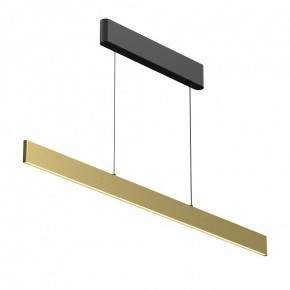 Подвесной светильник Maytoni Ephoria P109PL-36W2.7-6K-BS в Троицке - troick.ok-mebel.com | фото 7