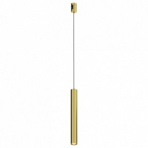 Подвесной светильник Maytoni Focus Led TR155-1-5W3K-BS в Троицке - troick.ok-mebel.com | фото