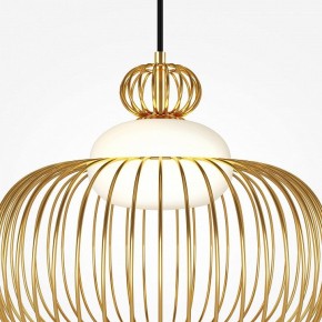 Подвесной светильник Maytoni Levitation MOD376PL-01G в Троицке - troick.ok-mebel.com | фото 6
