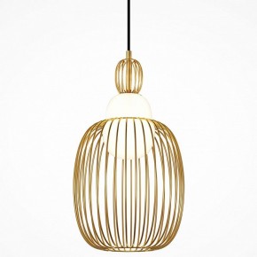 Подвесной светильник Maytoni Levitation MOD376PL-01G1 в Троицке - troick.ok-mebel.com | фото