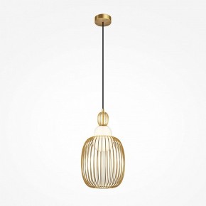 Подвесной светильник Maytoni Levitation MOD376PL-01G1 в Троицке - troick.ok-mebel.com | фото 2