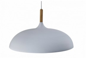 Подвесной светильник Moderli Hygo V11447-1P в Троицке - troick.ok-mebel.com | фото