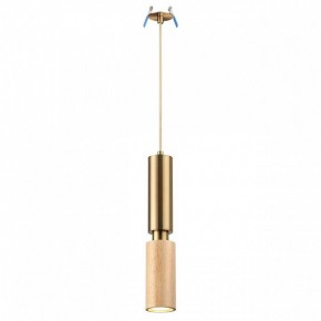 Подвесной светильник Odeon Light Caucho 7061/1A в Троицке - troick.ok-mebel.com | фото 3