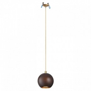 Подвесной светильник Odeon Light Caucho 7062/1 в Троицке - troick.ok-mebel.com | фото 2