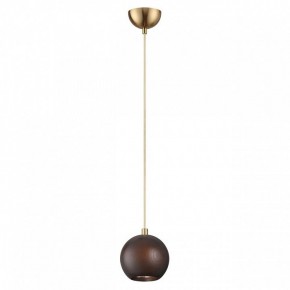 Подвесной светильник Odeon Light Caucho 7062/1 в Троицке - troick.ok-mebel.com | фото 4