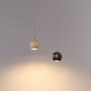 Подвесной светильник Odeon Light Caucho 7062/1 в Троицке - troick.ok-mebel.com | фото 8