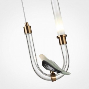 Подвесной светильник Odeon Light Lark 5431/2L в Троицке - troick.ok-mebel.com | фото 6