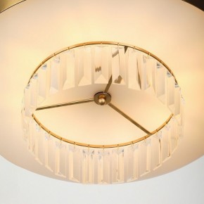 Подвесной светильник Rivoli Vickie Б0061902 в Троицке - troick.ok-mebel.com | фото 11