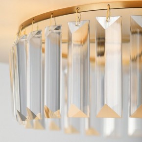 Подвесной светильник Rivoli Vickie Б0061902 в Троицке - troick.ok-mebel.com | фото 13
