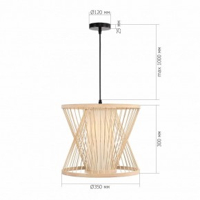 Подвесной светильник ST-Luce ALMA SL6241.503.01 в Троицке - troick.ok-mebel.com | фото 5