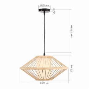 Подвесной светильник ST-Luce ALMA SL6241.533.01 в Троицке - troick.ok-mebel.com | фото 5