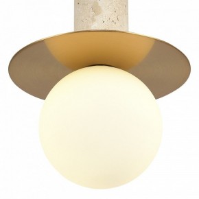 Подвесной светильник ST-Luce Earthy SL1194.303.01 в Троицке - troick.ok-mebel.com | фото 5