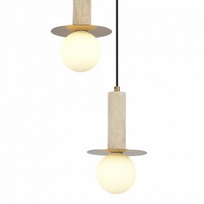 Подвесной светильник ST-Luce Earthy SL1194.303.03 в Троицке - troick.ok-mebel.com | фото 4