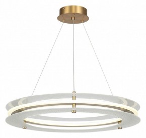 Подвесной светильник ST-Luce FAGY SL6245.203.01 в Троицке - troick.ok-mebel.com | фото 2