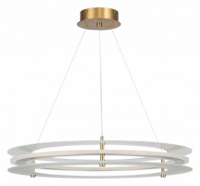 Подвесной светильник ST-Luce FAGY SL6245.203.01 в Троицке - troick.ok-mebel.com | фото 3