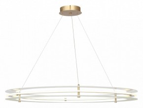 Подвесной светильник ST-Luce FAGY SL6245.213.01 в Троицке - troick.ok-mebel.com | фото 2