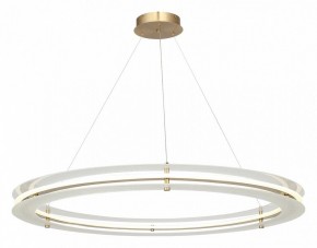 Подвесной светильник ST-Luce FAGY SL6245.213.01 в Троицке - troick.ok-mebel.com | фото 4