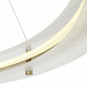 Подвесной светильник ST-Luce FAGY SL6245.213.01 в Троицке - troick.ok-mebel.com | фото 6