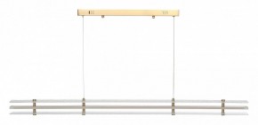 Подвесной светильник ST-Luce FAGY SL6245.223.01 в Троицке - troick.ok-mebel.com | фото 3
