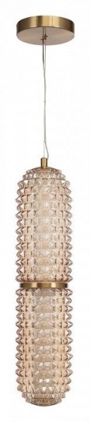 Подвесной светильник ST-Luce SAGUARO SL6144.303.01 в Троицке - troick.ok-mebel.com | фото 3