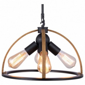 Подвесной светильник TopLight Jasmin TL1179H-04BK в Троицке - troick.ok-mebel.com | фото