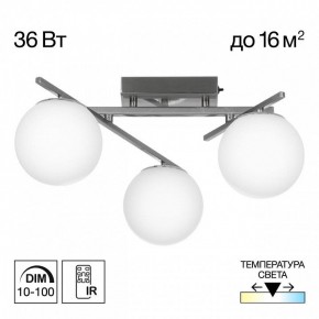 Потолочная люстра Citilux Dorsy CL223131 в Троицке - troick.ok-mebel.com | фото 3