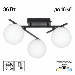 Потолочная люстра Citilux Dorsy CL223132 в Троицке - troick.ok-mebel.com | фото 10