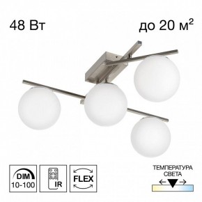 Потолочная люстра Citilux Dorsy CL223141 в Троицке - troick.ok-mebel.com | фото 2