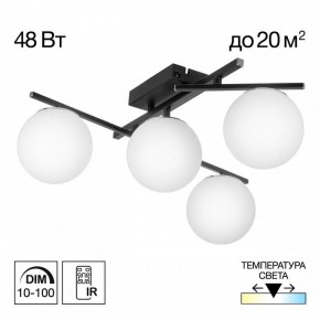 Потолочная люстра Citilux Dorsy CL223142 в Троицке - troick.ok-mebel.com | фото 9