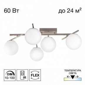 Потолочная люстра Citilux Dorsy CL223151 в Троицке - troick.ok-mebel.com | фото 2