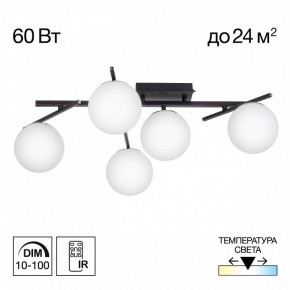 Потолочная люстра Citilux Dorsy CL223152 в Троицке - troick.ok-mebel.com | фото 2
