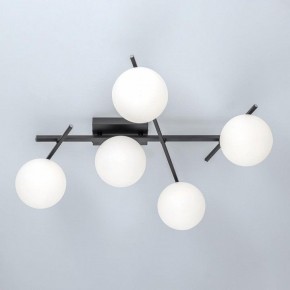 Потолочная люстра Citilux Dorsy CL223152 в Троицке - troick.ok-mebel.com | фото 6