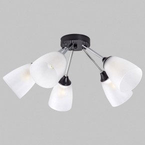 Потолочная люстра Imex MD.2167 MD.2167-5-S-BK+CH в Троицке - troick.ok-mebel.com | фото 1